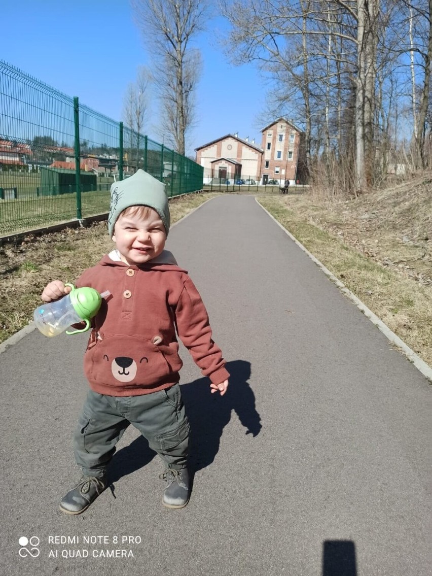 Adam Szaniawski, Boguszów-Gorce...