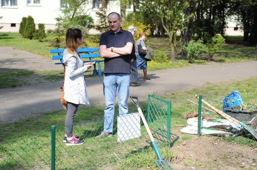 Sąsiedzka grządka powstała na Sołaczu