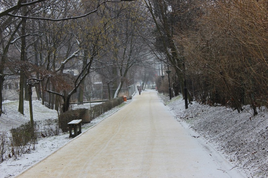 Zima w Gliwicach 2014: Pierwszy śnieg w tym roku - niewiele, ale zawsze coś. Zobacz Zdjęcia