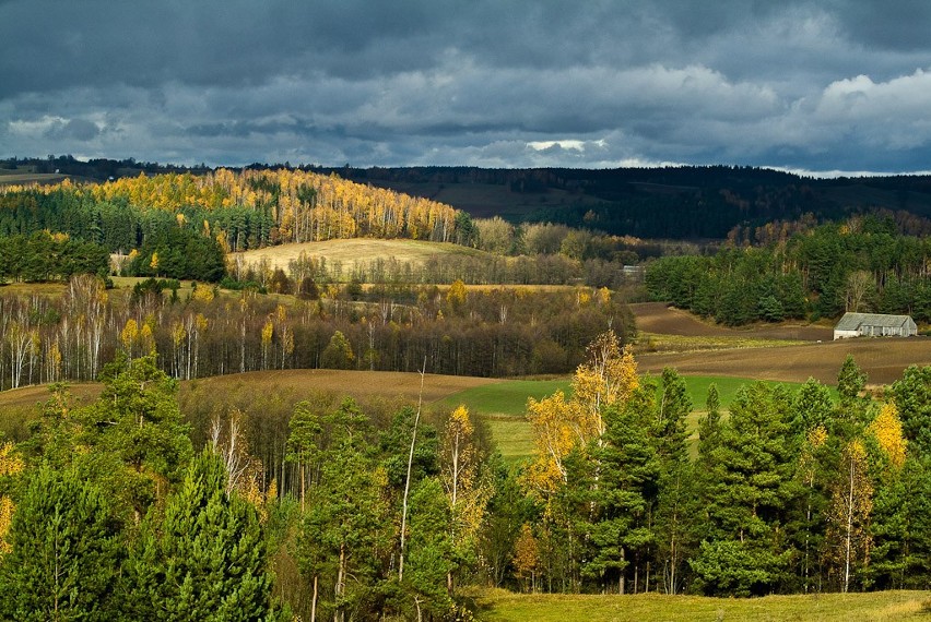 Suwalski Park Krajobrazowy. Gulbieniszki