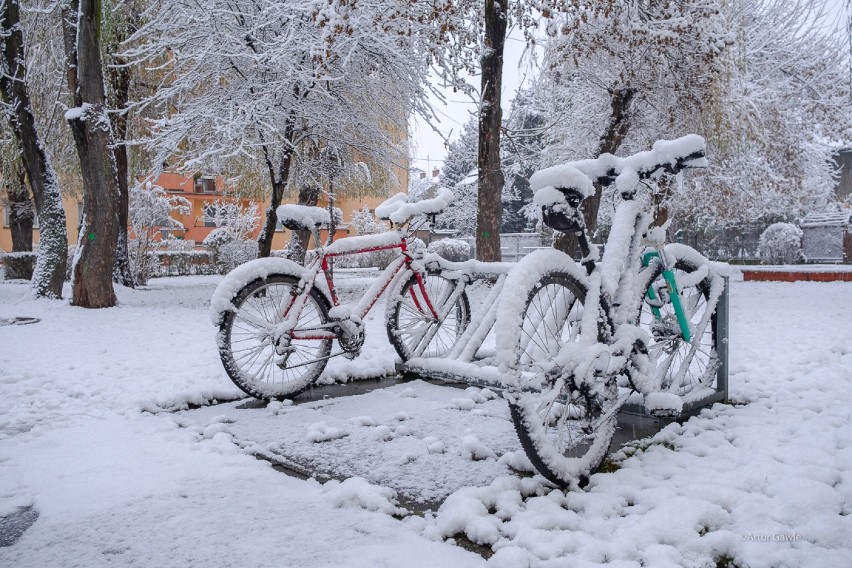 Zima w Tarnowie. Tarnów przykryty kołderką białego puchu. Pierwszy śnieg w Tarnowie spadł już w listopadzie. [DUŻO ZDJĘĆ]