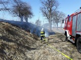 Ochotnicza Straż Pożarna w Lotyniu przywitała wiosnę ... pożarem traw