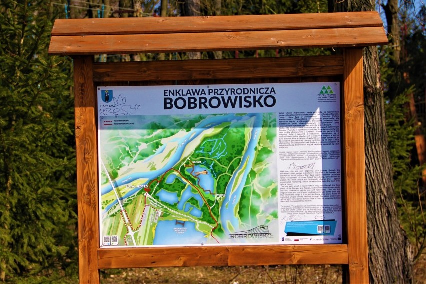 Wiosna zawitała na Bobrowisko. Odwiedzających witają łabędzie