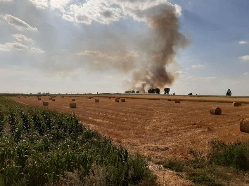 Pożar ścierniska w Bugaju było widać z kilkunastu kilometrów. Interweniowało 10 jednostek straży pożarnej i samolot gaśniczy