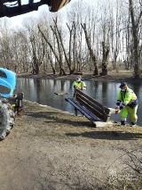 Plaga wandalizmu w warszawskich parkach i skwerach. "Z jednego stawu wyłowiono aż 10 betonowych ławek"