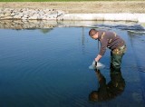 Bielsko-Biała: wędkarze Renegat Fishing Team zarybiali rzekę Białą ZDJĘCIA