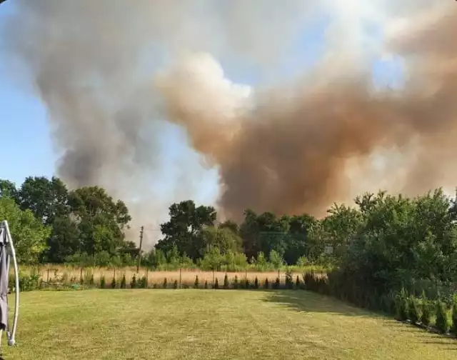 Pożar w Jawornicy. Susza sprawia, że pożary szerzą się błyskawicznie