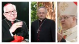 Oto księża, którzy ukrywali księży pedofilów. Raport trafił do papieża [zdjęcia]