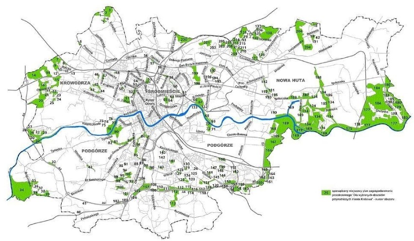 Kraków. Władze miasta uległy protestom. Wielki plan dla zieleni do zmiany?