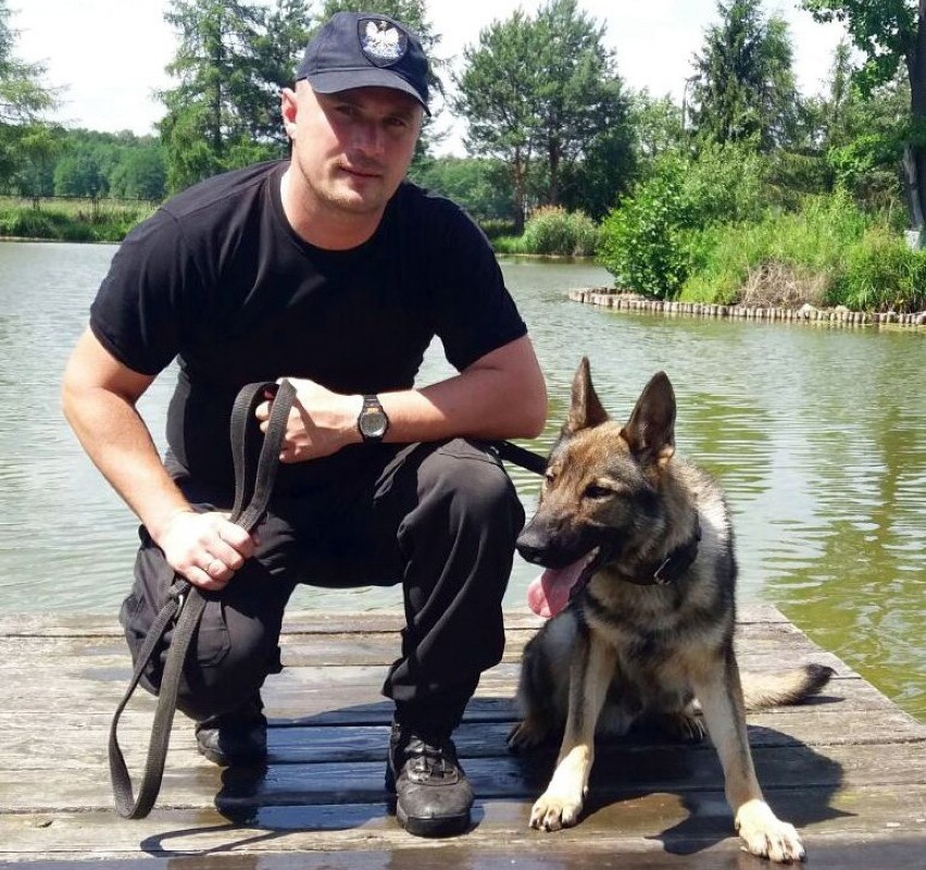 Policjant Rysiek, psi funkcjonariusz w Koszalinie. Specjalizuje się w poszukiwaniu ludzkich zwłok [zdjęcia]