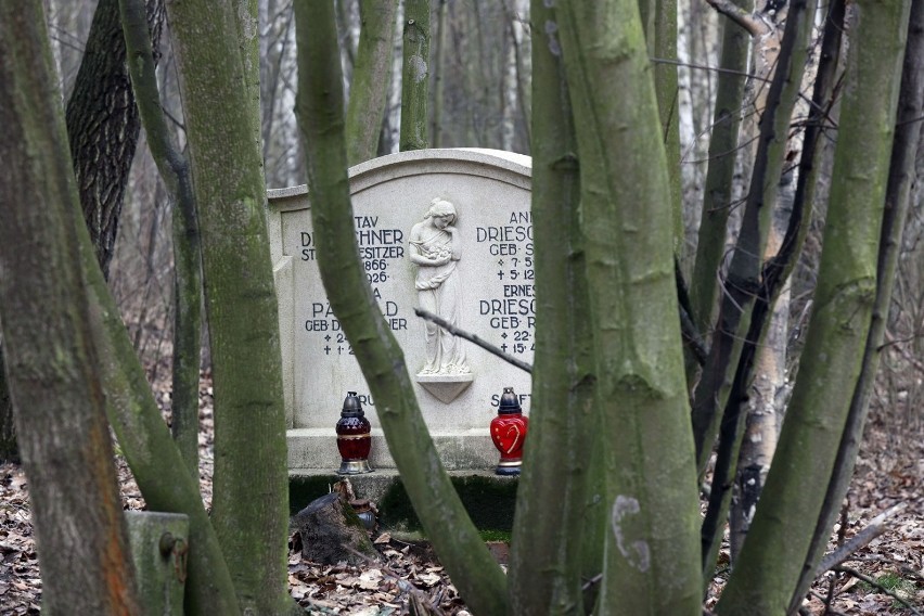 Jest taki poniemiecki cmentarz przy ulicy Smokowickiej w Legnicy