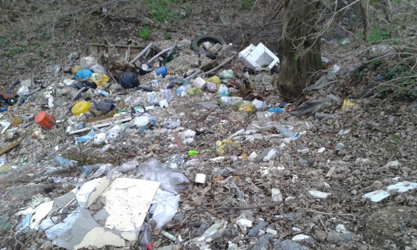 Nielegalne wysypisko śmieci w Gilowicach [ZDJĘCIA]