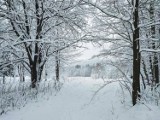 Zima w Górach Bystrzyckich. Zobacz zdjęcia pierwszego dużego śniegu w powiecie kłodzkim 