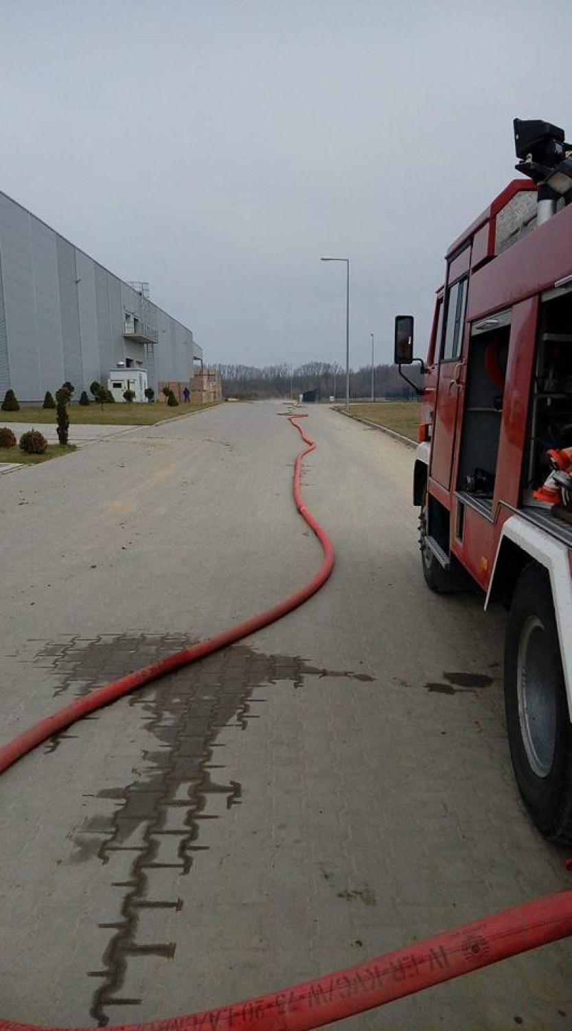 Pożar w Rzucewie (kwiecień 2018). Ogień wybuchł w zakładach Grupy Producentów Owoców i Warzyw Polfarm