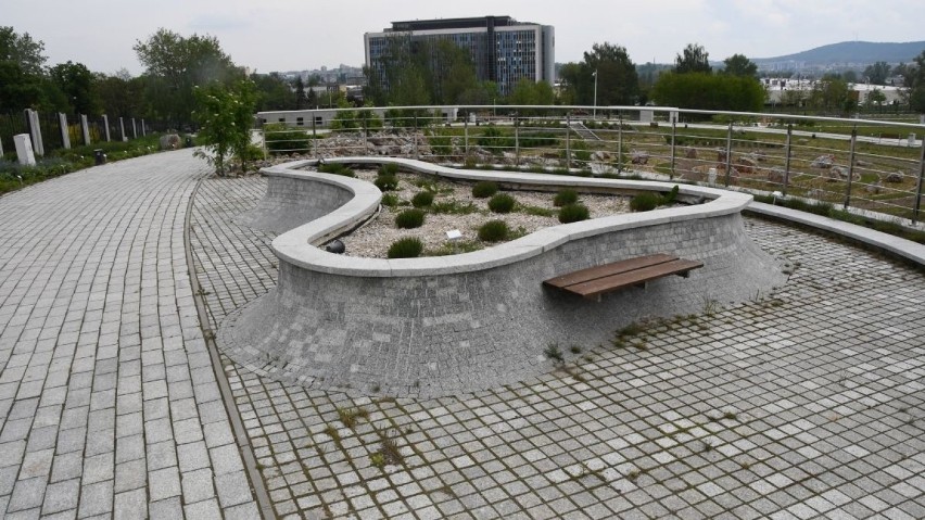 Wszystkie atrakcje Ogrodu Botanicznego w Kielcach otwarte. Są zachwycające! Zobaczcie (WIDEO, ZDJĘCIA)