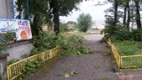 Krajobraz po nawałnicy w Myszkowie - zobacz zdjęcia. Połamane gałęzie drzew w mieście, na Dotyku Jury ZDJĘCIA