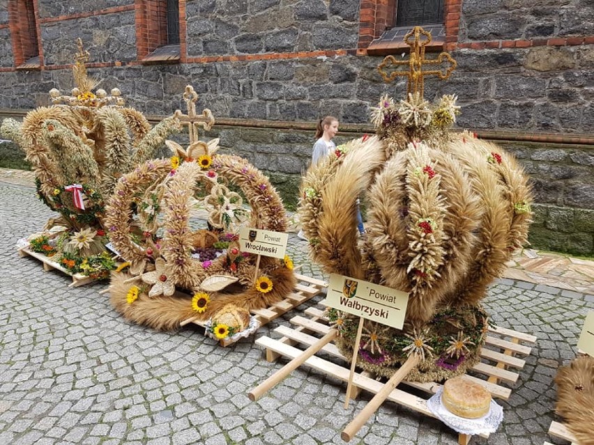 Czarny Bór znakomicie reprezentował nasz powiat [ZDJĘCIA]