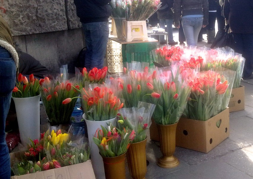 Dziś najlepiej sprzedają się tulipany