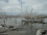 Epecuen - argentyńskie miasto duchów wyłania się z jeziora Largo