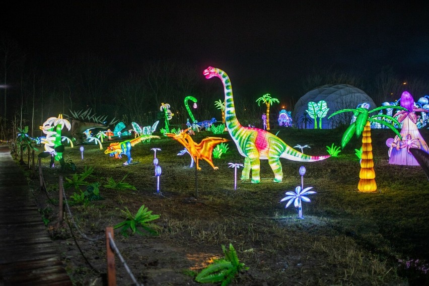 Dinosaur Garden Glow w Krakowie.