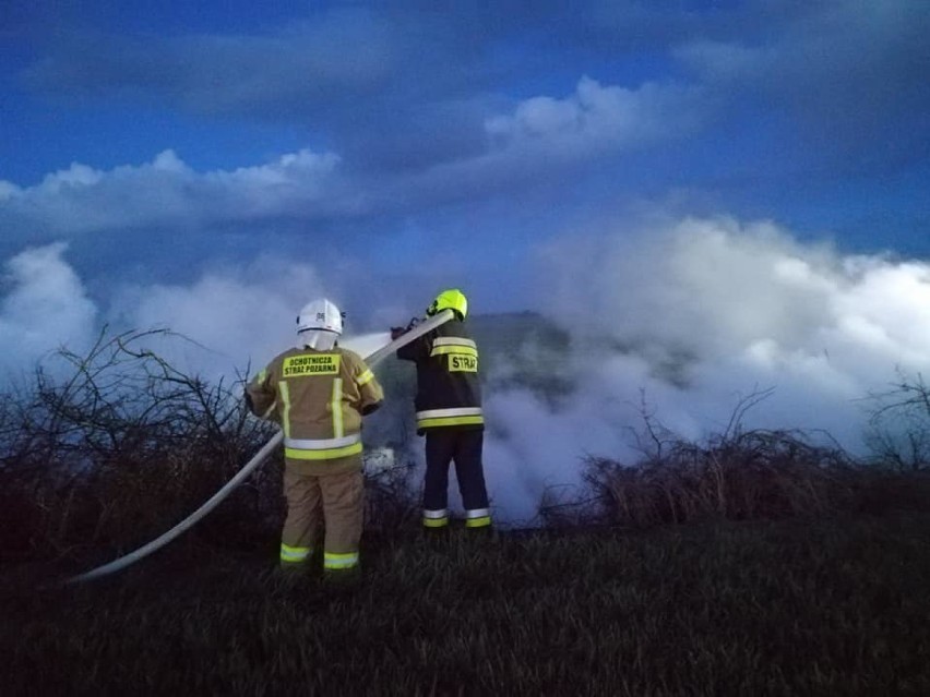 Pożary traw w powiecie malborskim. Tak strażacy gasili je w tym roku [ZDJĘCIA]. PSP apeluje, policja ostrzega