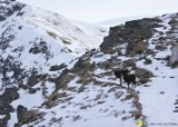 Zakopane. TPN wybrał firmę, która zmierzy hałas jaki dotrze w sylwestrową noc w Tatry