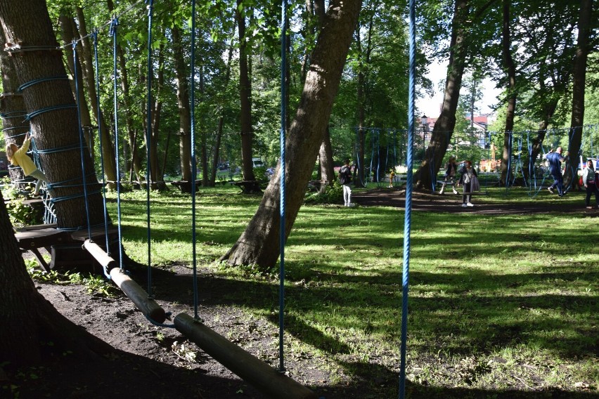 Bezasekuracyjny park linowy dla Szczecinka? Ciekawy pomysł [zdjęcia]