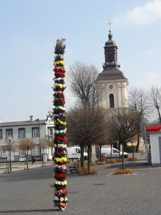 Gmina Koźminek. Wielka palma wielkanocna stanęła na rynku w Koźminku