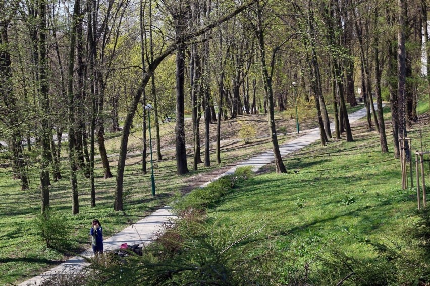 Już wczoraj najwyższa w historii pomiarów temperatura w...