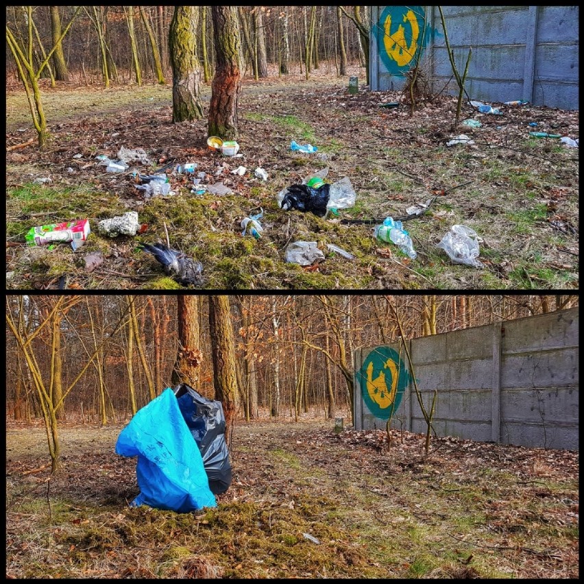 Jaworzno: Trash Challenge w Jaworznie. Zobaczcie pierwsze efekty FOTO