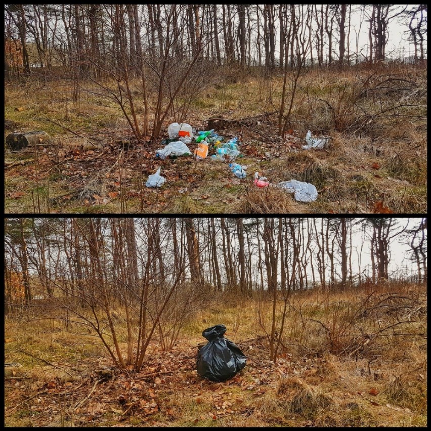 Jaworzno: Trash Challenge w Jaworznie. Zobaczcie pierwsze efekty FOTO