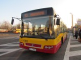 Autobusy MPK do Brzezin. Od 1 grudnia rusza kolejne połączenie aglomeracyjne