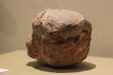 Muzeum Zamkowe w Kwidzynie. Zobacz skamieniałe jajo dinozaura!