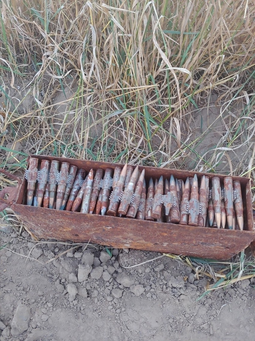 Mieszkaniec gminy Mrocza znalazł skrzynkę z amunicją z II wojny światowej 