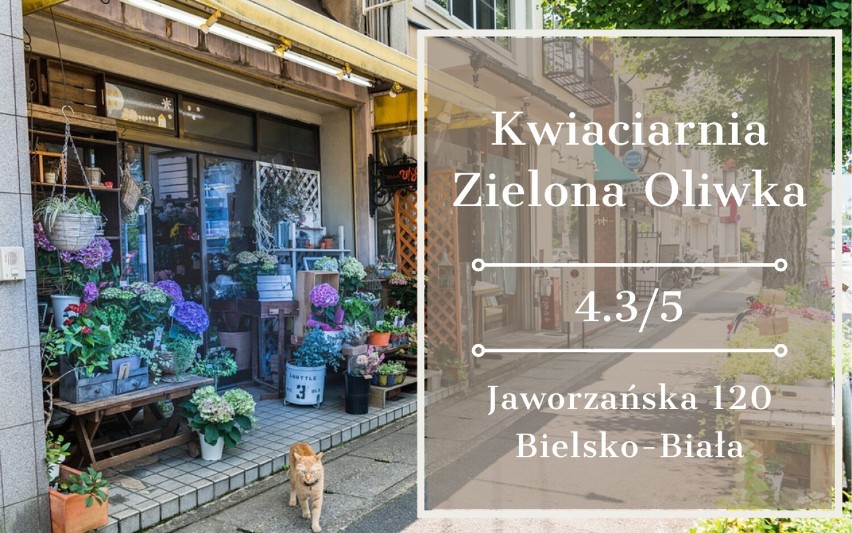 Gdzie kupić najładniejsze wieńce na Wszystkich Świętych w Bielsku? Oto TOP 10 najlepszych kwiaciarni w mieście!