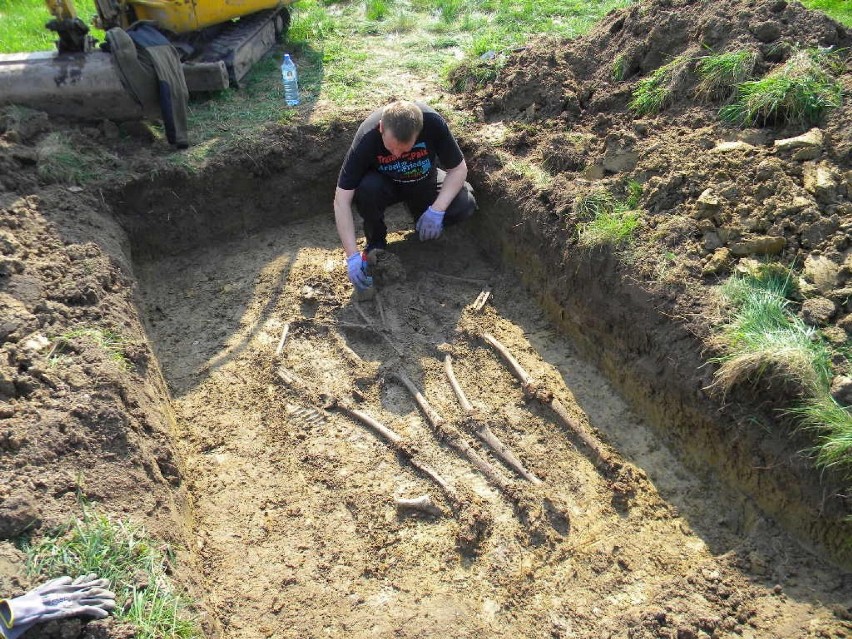 W Świnkowie ekshumowano szczątki dwóch niemieckich żołnierzy z czasów II wojny światowej [FOTO]