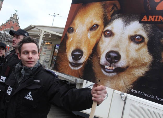 Stop przemocy wobec zwierząt - manifestowali działacze Animals w Gdańsku w czasie marszu (NIE)milczenia.