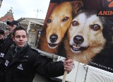 Gdynia: Wyrzucił psa z VI piętra