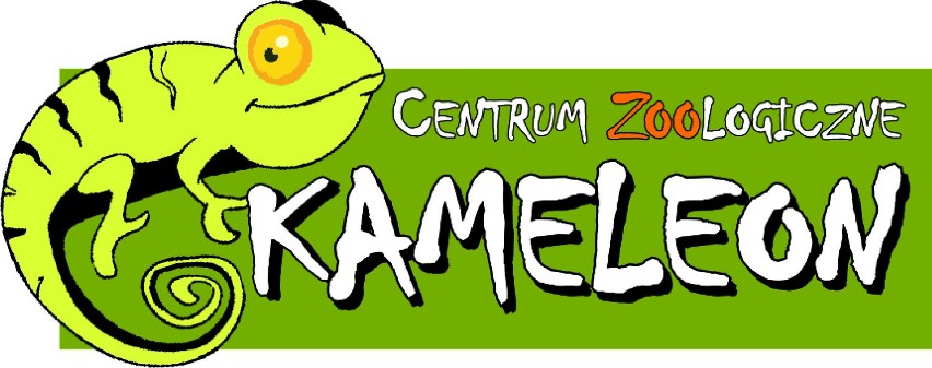 Sklep Zoologiczny Kameleon