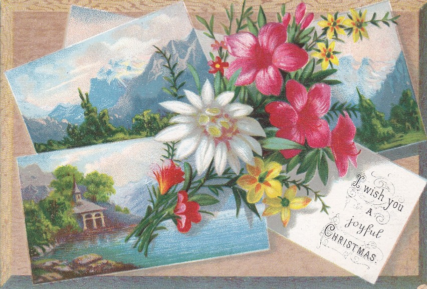 Unikalne kartki pocztowe z lat 1870 - 1912 z kolejki...