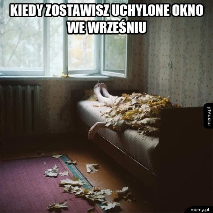 Złota polska jesień, czyli... Te memy poprawią Ci humor w jesienną szarugę 