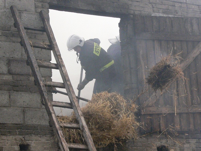 Ogień zabrał 165 tys. zł (FOTO)
