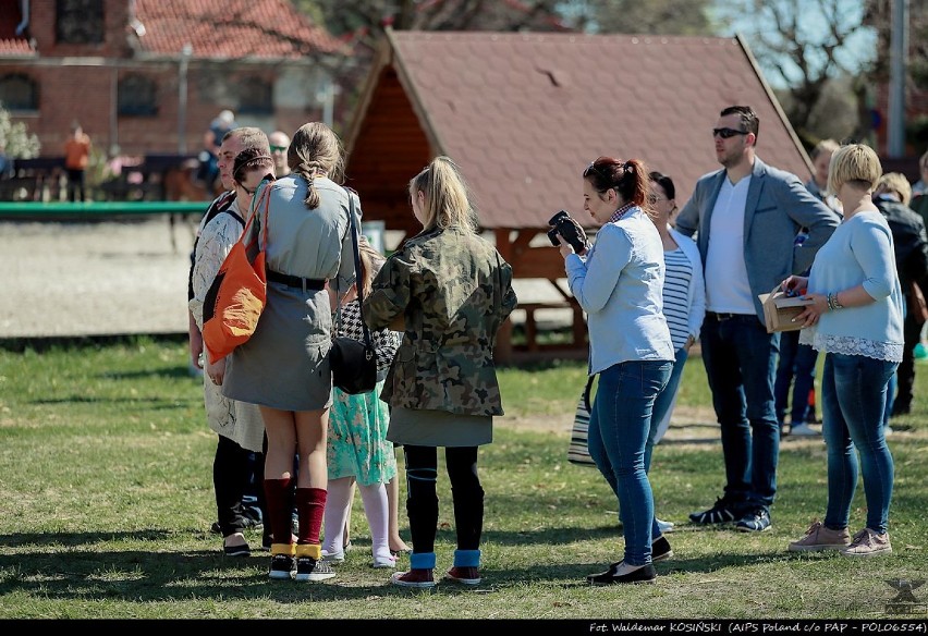 "Razem dla autyzmu". Drugi rodzinny piknik rekreacyjno-edukacyjny na Miłosnej [ZDJĘCIA]