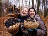 Listopadowe grzybobranie w lasach koło Szczecinka. Zaprasza Beata Bilska-Zaleska [piękne zdjęcia]