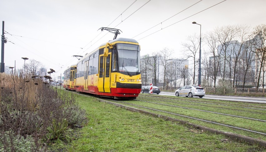 Kolejne tory tramwajowe w Warszawie zostały zazielenione. Tym razem rozchodnikiem pokryto tory w centrum stolicy