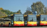 Wszystkich Świętych w Tomaszowie: Na cmentarz dojedziesz autobusami MZK