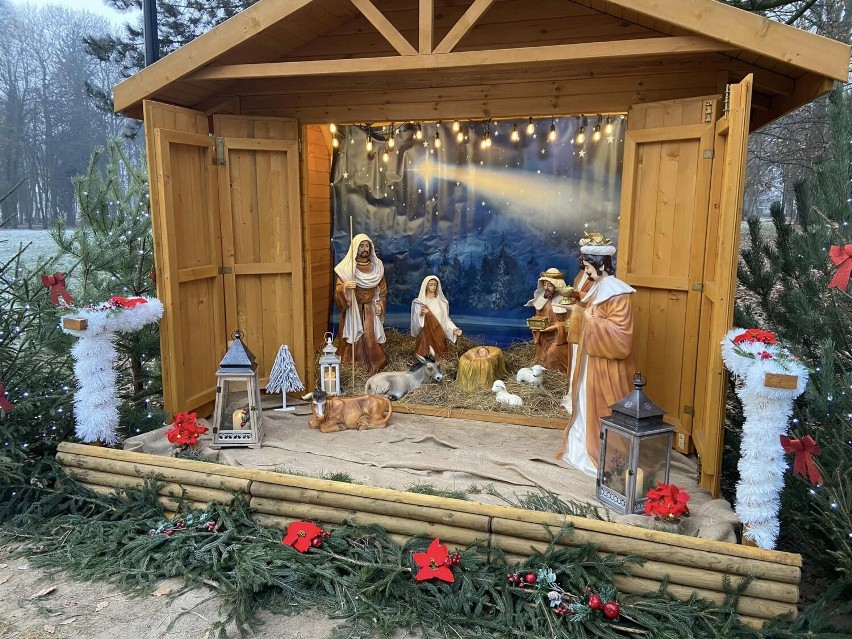 Bożonarodzeniowa szopka stanęła w parku miejskim w Rakoniewicach. Będzie cieszyć gości i mieszkańców