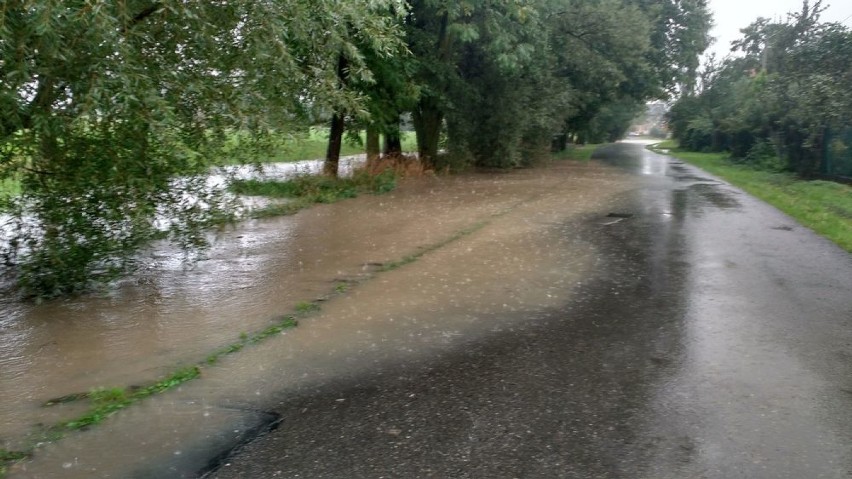 Śląskie: Wysokie stany wód w rzekach... a piątek jeszcze deszczowy [PROGNOZA POGODY]