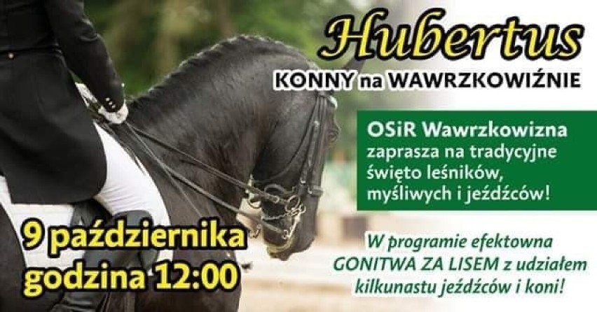 Hubertus Konny na Wawrzkowiźnie. 9 października 2021 roku o...