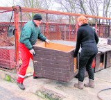 Myszków: Problem ze schroniski dla zwierząt. Inspektorat sanitarny każe zadaszać, nadzór - rozbierać